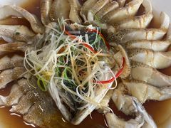 -煲来饱去冷水鱼