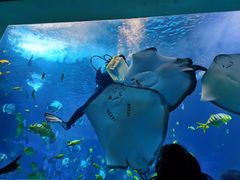 -太平洋海底世界