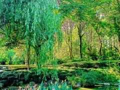 -苏州河梦清园环保主题公园