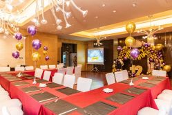 -派对猴生日派对策划