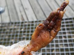 -鸡脚旮旯(苏州中心店)