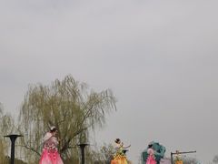 -荷兰花海