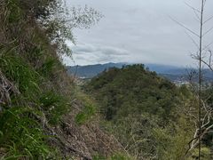 -武夷山风景名胜区-玉女峰