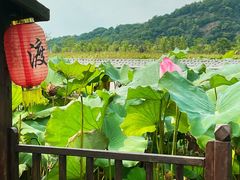 -炉鱼(萧山万象汇店)