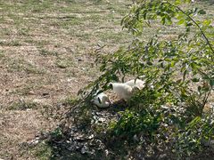 -长春市南湖公园