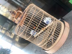 -河北霸州茗汤日月潭温泉