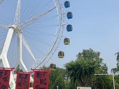 -北戴河集发农业梦想王国