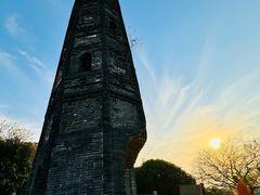 -上海佘山国家森林公园天马山园