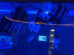 -上和臻品中国菜(花园街店)