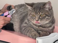 -佳雯宠物医院·皮肤科·内外科(春晓路分院)