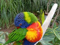 -南宫温泉水世界