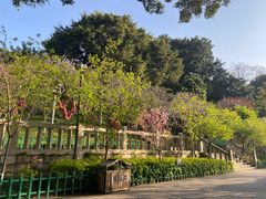 -乌山风景区