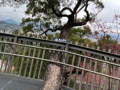 -福道
