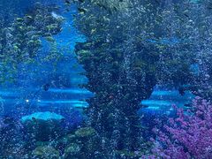 -上海海昌海洋公园-冰山北极馆