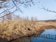 -同里国家湿地公园