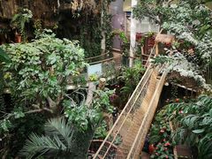 -正佳雨林生态植物园