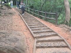 -上海佘山国家森林公园天马山园