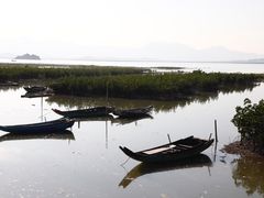 -盐洲岛
