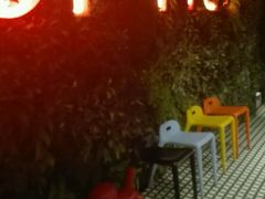 -天山醉美辣子鸡(文艺路店)