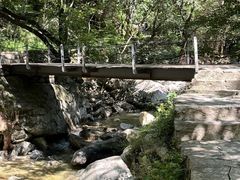 -少华山国家森林公园