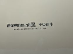 点击看大图 -Yestar艺星医疗美容医院