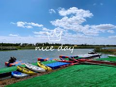 -春花秋色城市公园