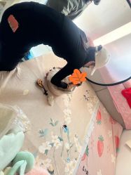 -贵族宝贝新生儿摄影