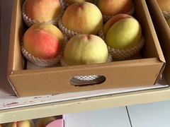 -南汇新场正宗水蜜桃采摘