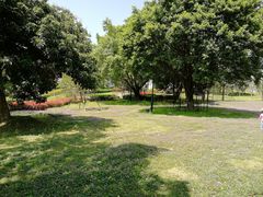 -福建鲤鱼洲酒店