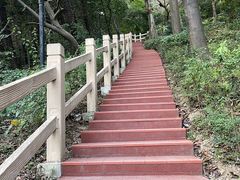 -广州市白云山风景名胜区
