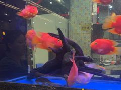 -新辉港式茶餐厅(北栅店)