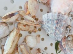 -港畔赶海蒸汽海鲜烧烤自助(仙螺岛店)