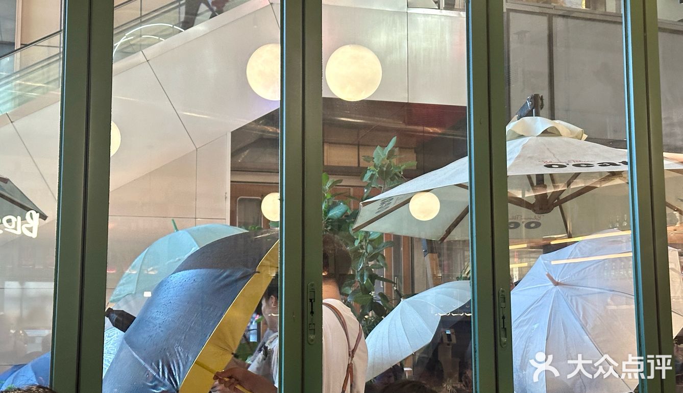 🌧️提拉米苏绝版？暴雨中的伞却封神！  