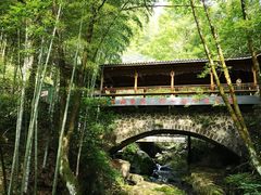 -藏龙百瀑风景区