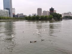 -迎泽公园