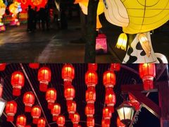 -厦门方特东方神画