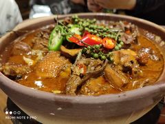 藤椒鸡肥肠煲-十六蒲(桂林路店)