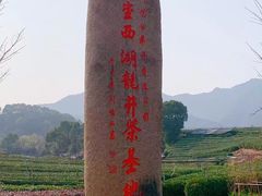 -龙坞茶村