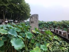 -杭州西湖风景名胜区-北街寻梦