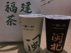 -一树一叶·福建茶档(石鼓路店)