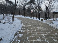 -高尔山公园