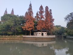 -汇龙潭