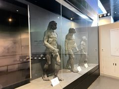 -北京周口店北京人遗址博物馆