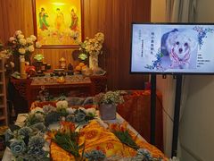 -翡翠森林宠物火化殡葬(通州店)