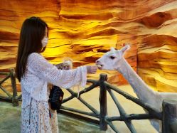 -酷嗒动物文化乐园(cutezoo西溪乐天城店)