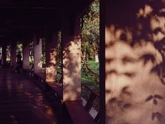 -四川大学(华西校区)