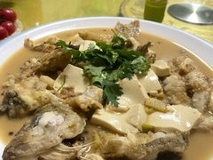 -煲来饱去冷水鱼