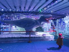 -宁波冰雪大世界(北仑区)