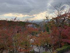 -有栖山 清光院 清水寺