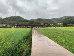 -红山村